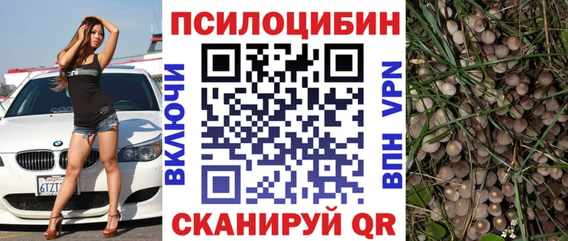 кракен вход  наркота  Цимлянск  Галлюциногенные грибы Psilocybe 